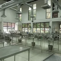 kasetsart-university-3