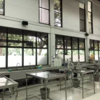 kasetsart-university-4